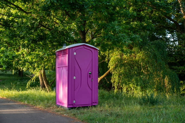 Best Sanitation services for porta potties  in Springfield, NJ